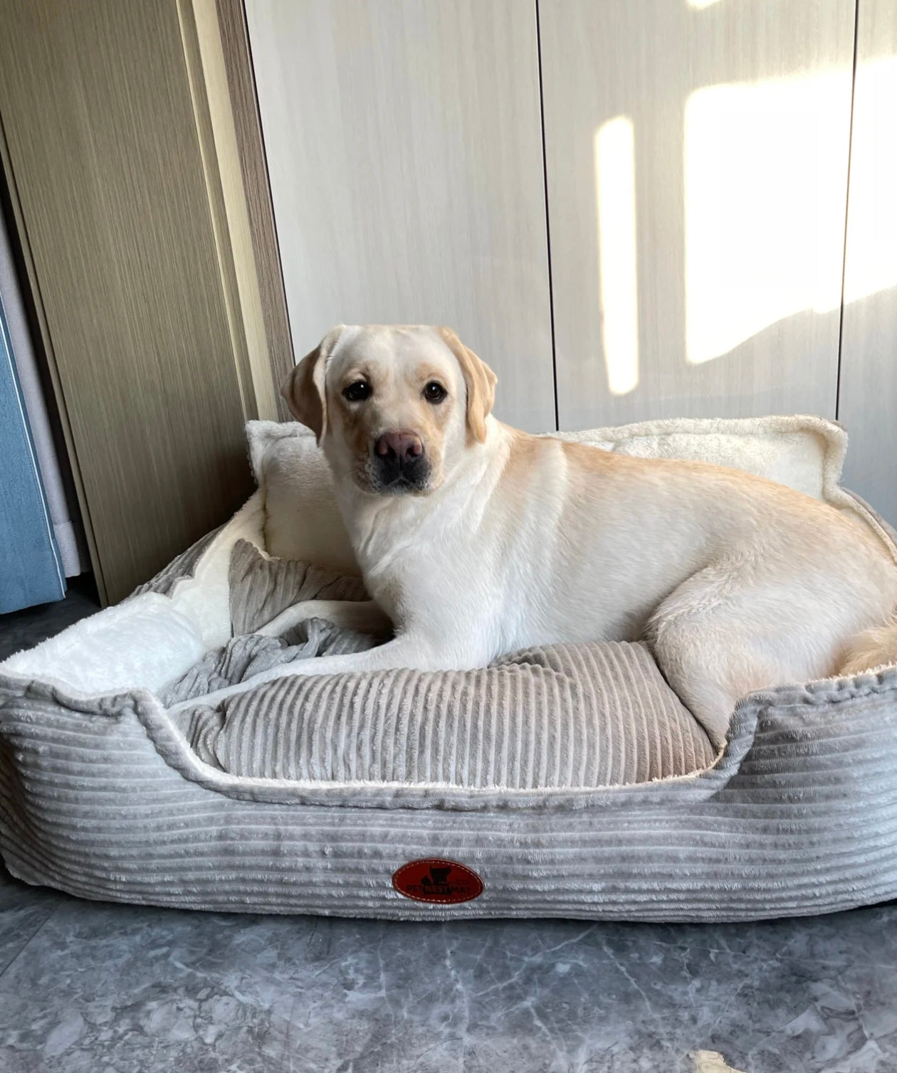 Welches Hundebett ist das richtige für meinen Vierbeiner?