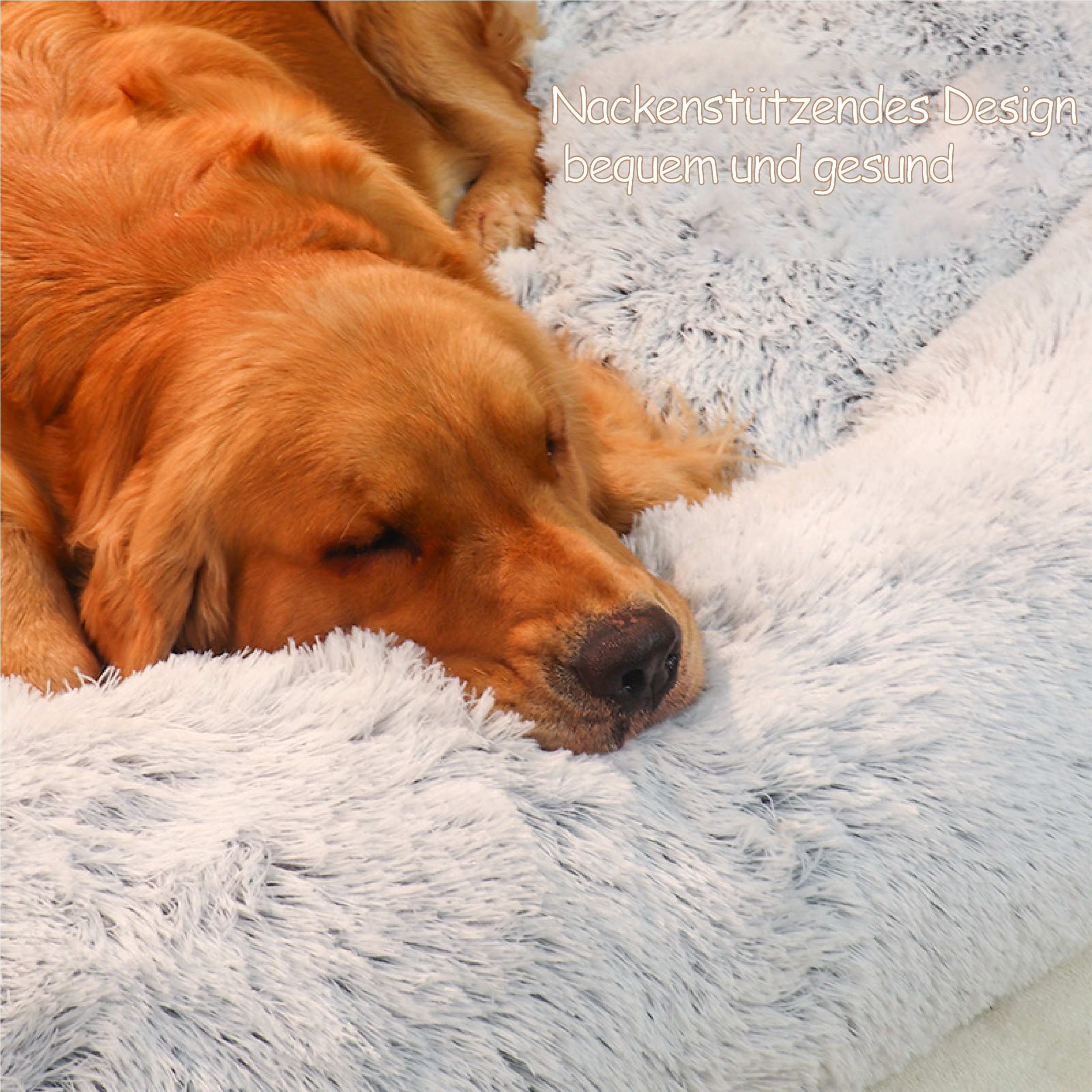 Großes Hundebett aus Plüsch – Superweich, gemütlich & pflegeleicht