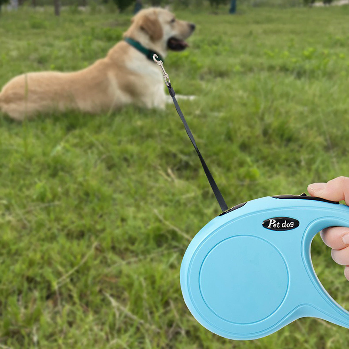 Haustierleine – Robuste & verstellbare Leine für Hunde & Katzen