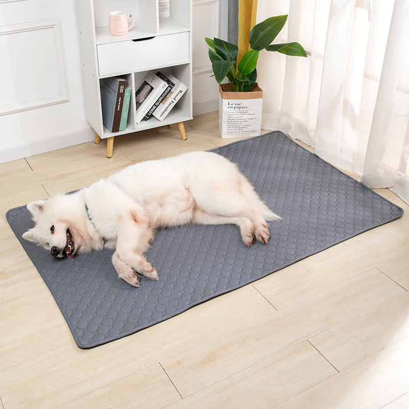 Hundematte – Bequeme und rutschfeste Hundematte für Entspannung und Komfort