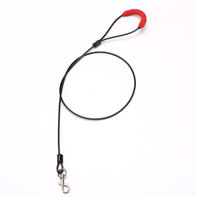 Leash – Robuste Hundeleinen für Jede Gelegenheit