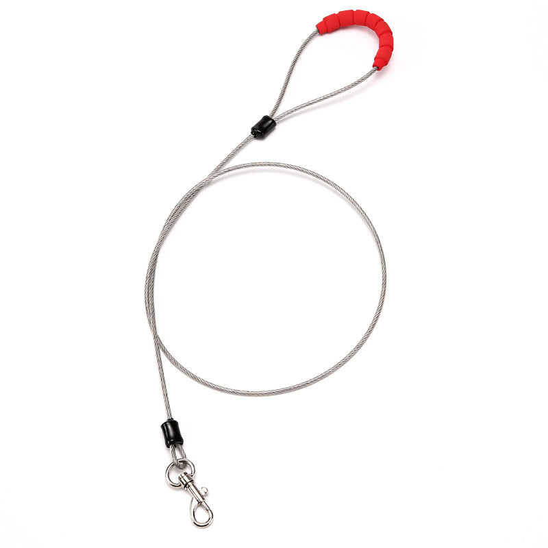 Leash – Robuste Hundeleinen für Jede Gelegenheit
