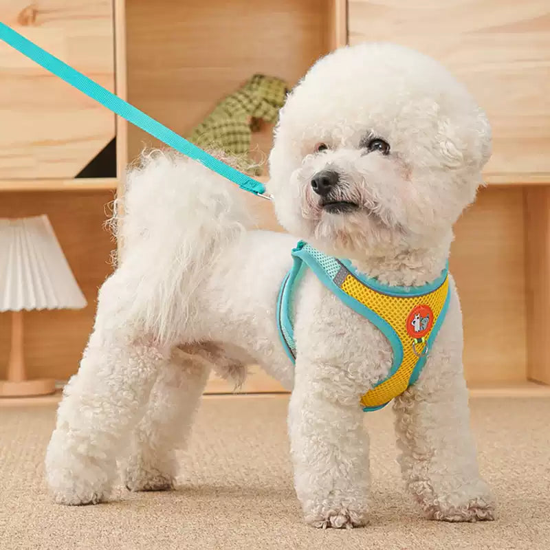 Reflektierende Hundeleine für kleine Hunde – Sichtbar & sicher bei Nacht