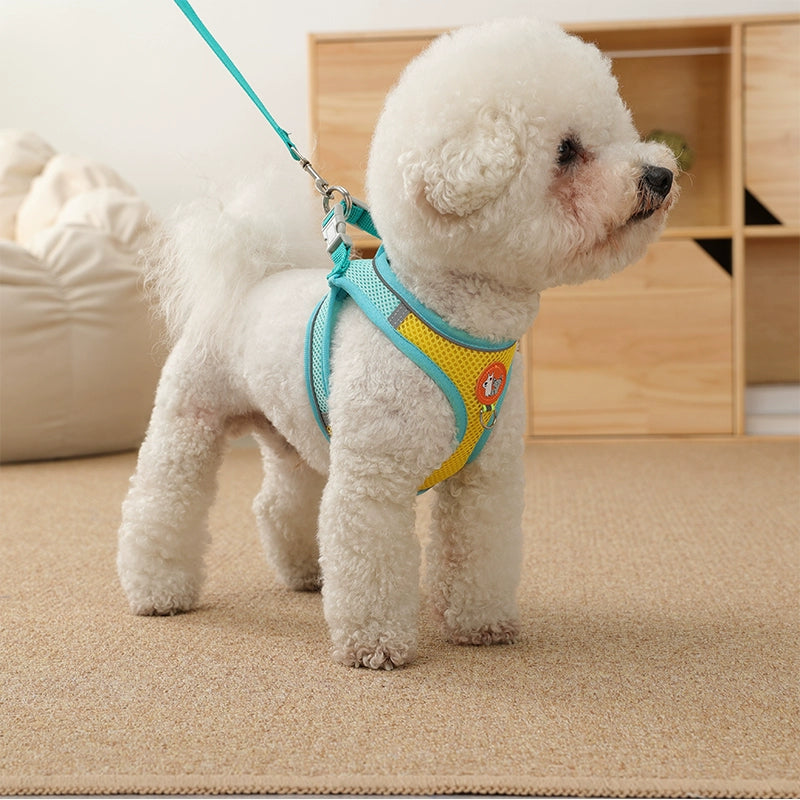 Reflektierende Hundeleine für kleine Hunde – Sichtbar & sicher bei Nacht
