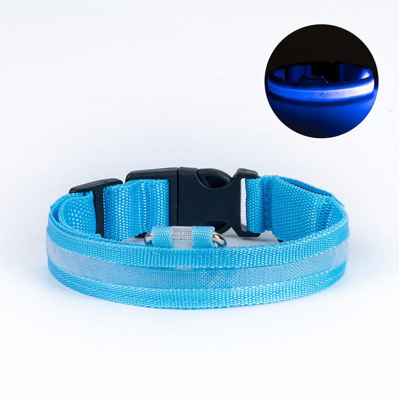Hunde Leuchthalsbänder - Rechargeable Bright and Safe Dog Collars for Nighttime Walks