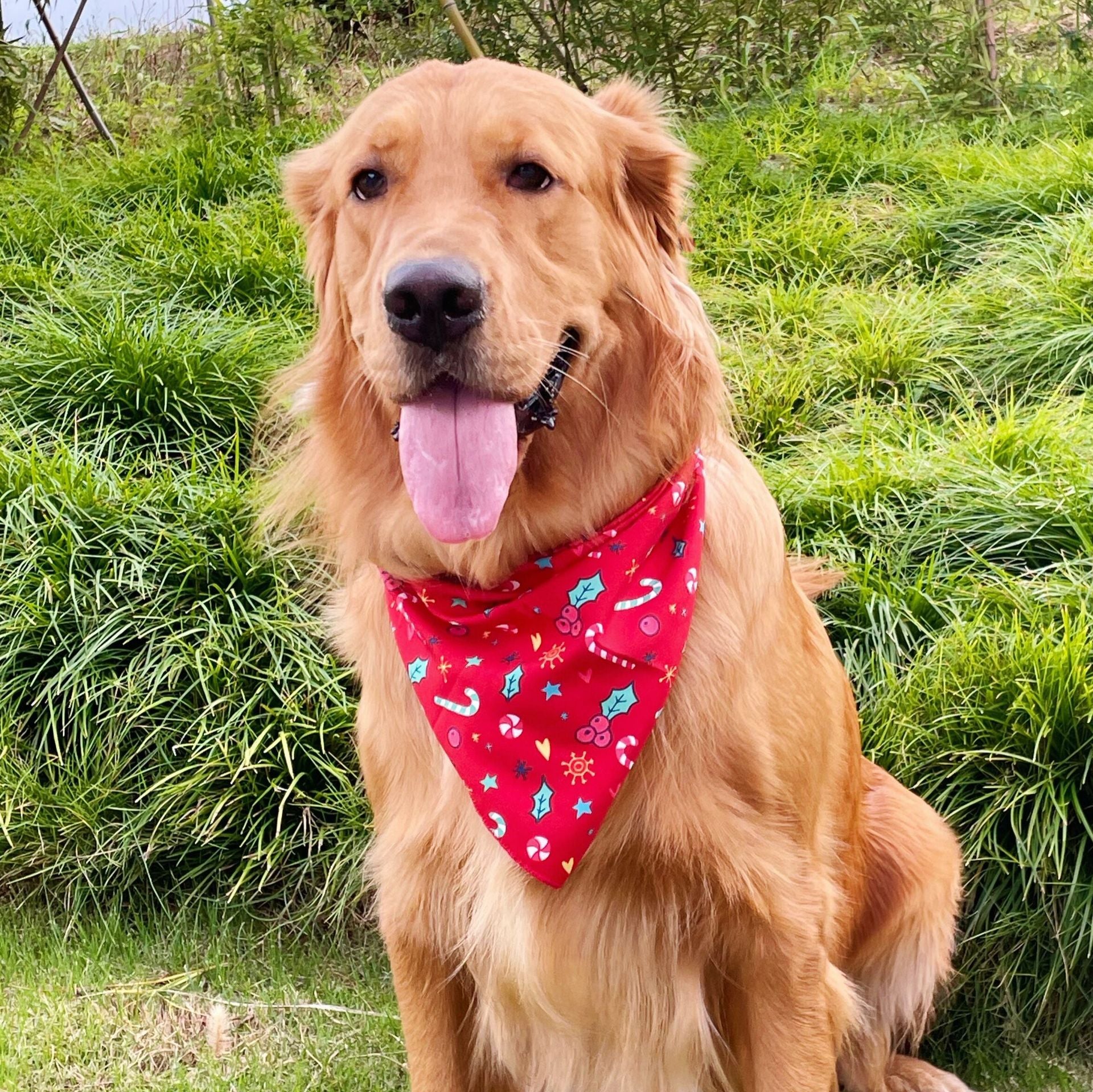 Weihnachts- und Halloween-Halstücher für Hunde und Katzen – Bunt & bequem