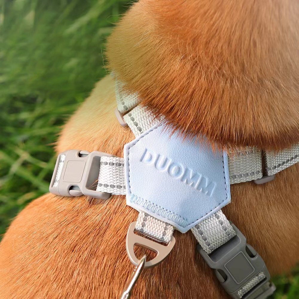 V2 Comfort Walk Pro Geschirr – Ergonomisch, bequem & sicher für Hunde